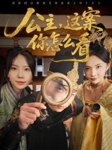 公主，這案你怎么看