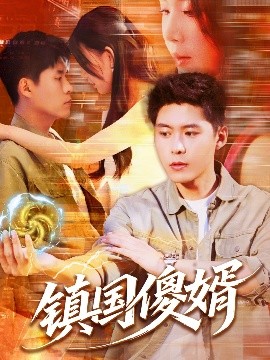 鎮(zhèn)國(guó)傻婿