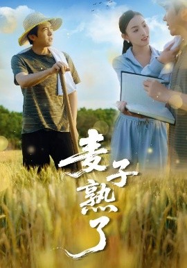 麥子熟了
